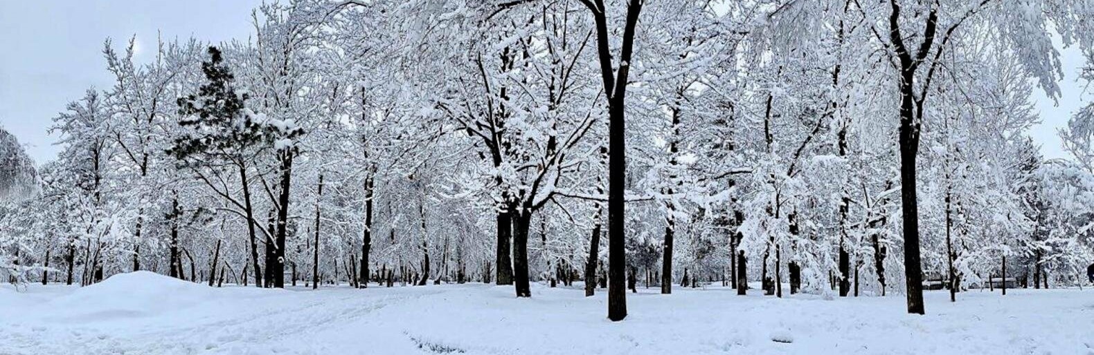 Более 20 сантиметров снега выпало в горных районах Алматы