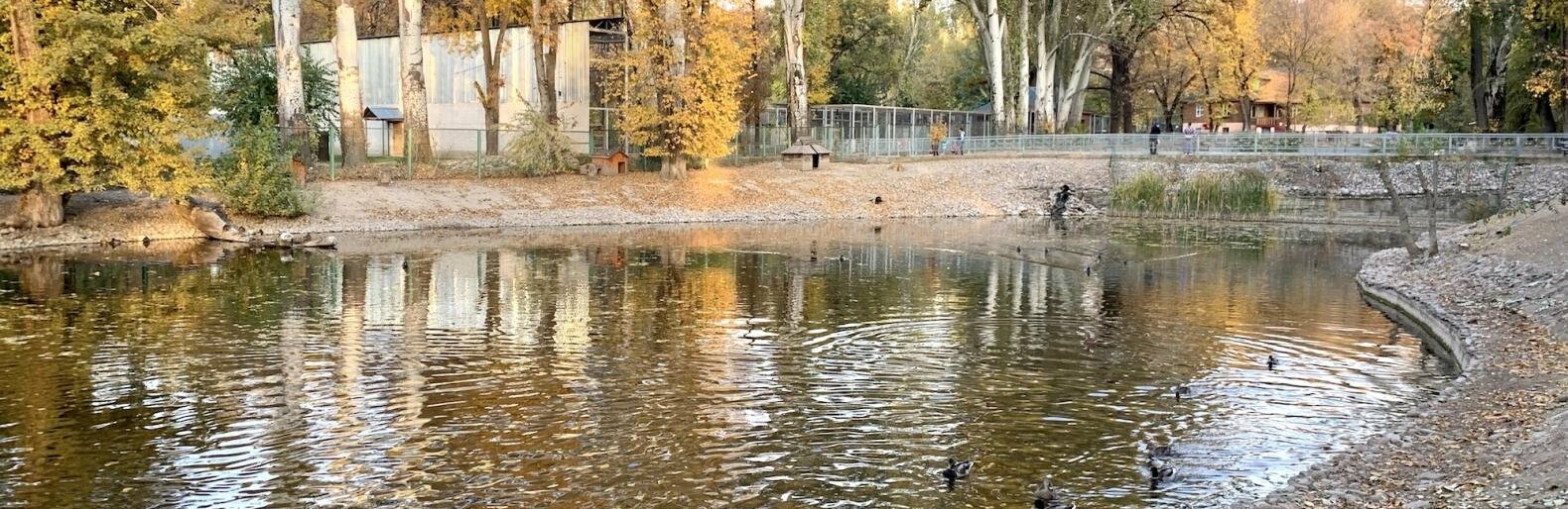 В управляющей компании Центрального парка Алматы объяснили запрет на выгул собак
